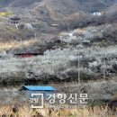 꽃으로 힐링 ** 이미지