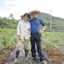 청양농장 이미지