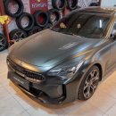 에스(S)게러지 이미지