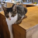 연일농장 | 포항 16개월 아기랑 가기 좋은 카페, 허니웍스에서 꿀같은 주말 보내기