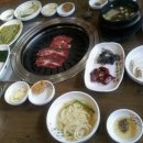 누렁송아지 이미지