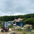 섬마을펜션민박 이미지