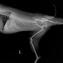 미사서울동물병원 이미지