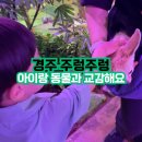 경주 주렁주렁 아이랑 동물과 교감해요