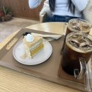 타코팡팡(PANG PANG) 이미지