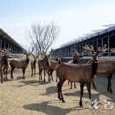 부흥산업