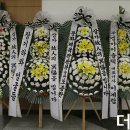 더봄포토