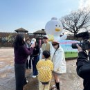 뉴태창여행사 | 김해시대성동고분박물관‘금릉금빛시선’특별전인기몰이, 김해시해외VIP대만관광객유치힘써, 2026년칠산...