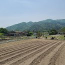 송동민박 이미지