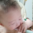하이 | 아가드 하이체어 후기｜신생아부터 유아까지 사용하는 식탁의자 추천