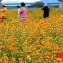 만조(주) 이미지
