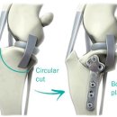사직동물의료센터 이미지