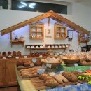 솔솔하우스 이미지