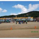 태안초등학교 이미지