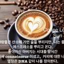 지구오리진무역