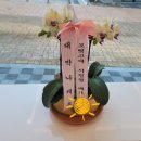 원주시청 이미지