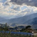 하늘재농장 이미지