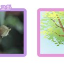 주학초등학교 이미지