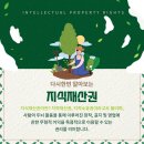 지식디자인 이미지