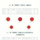 마그테 이미지
