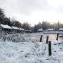 대한 태양광발전소 이미지