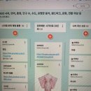 프로젝트수업/사회+국어] 꼬마외교관프로젝트 13...발표 대본 작성 + 발표 + 나라 문화 체험 부스...