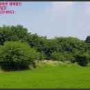 천안시성남면봉양보건진료소 이미지