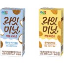 브릿지라잇