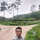 버들냉면 이미지