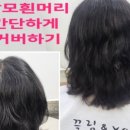 끌림앤유 - 8561 | 끌림앤유