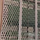 연하엽구름다리 이미지