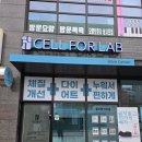 계백로 | 도마동 셀리진셀로랩바이블 체험후기