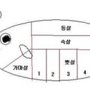 장보고참치 이미지