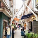 신흥버스 | 용산 이태원 해방촌 신흥시장 놀거리 데이트 카페 후암동 108계단