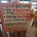 어서오개 | [놀러오개 어서오개] 아기랑 광명 애견카페 다녀온 후기! (+가격, 시설, 주차, 솔직 리뷰)