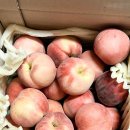 보현산2농장 이미지