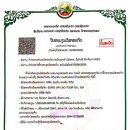 주식회사 나라투어 네이버블로그