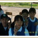 손양초등학교 이미지