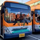 꽃바위(19014) 이미지