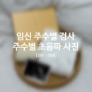 41190-01-07-312 | [3W~15W] 임신 주수별 검사, 주수별 초음파 사진 그리고 입덧