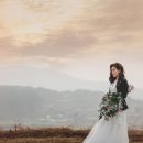 드레스바이유미