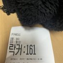 웨스포 | 원주 태장1동 원주시체육시설 헬스장 수영장 다목적체육관 [드림체육관]