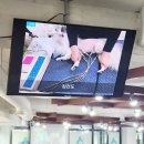 친구가 될 동물병원 | 동물 병원코디네이터 자격증 취득 방법 및 취업 합격 후기