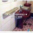 신촌당구장 이미지