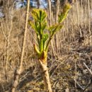 영덕농장 이미지