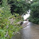 청수목장 이미지