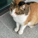 곱도리탕대가지산점