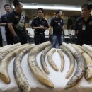 코뿔소PC 이미지