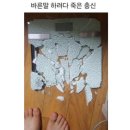 (주)레몬12 이미지