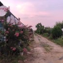 호철농장 이미지